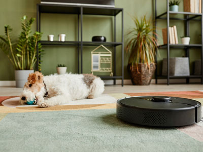 Top-Rated and Best Robot Vacuums in 2023